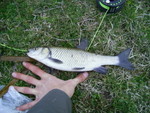 PIC 0101