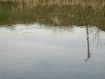 PIC 0107