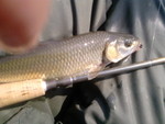 P150910 15.27