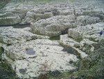 PIC 0009