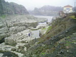 PIC 0010