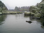 PIC 0018