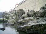 PIC 0019
