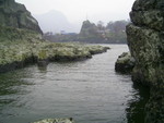 PIC 0026