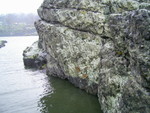 PIC 0028