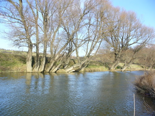 P1020043