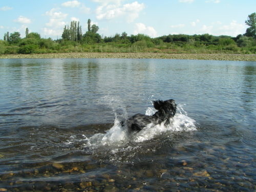 PICT0066
